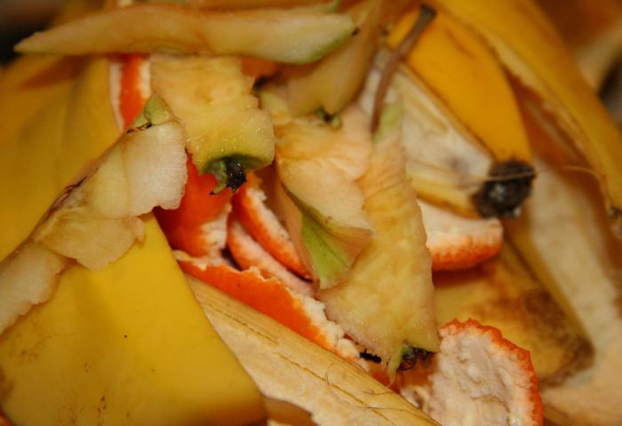 Schalenreste von Äpfeln, Bananen und Citrusfrüchten