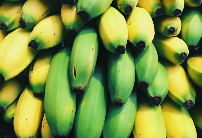 reife und unreife Bananen liegen eng aneinander, man sieht nur die unteren Teile der Frucht