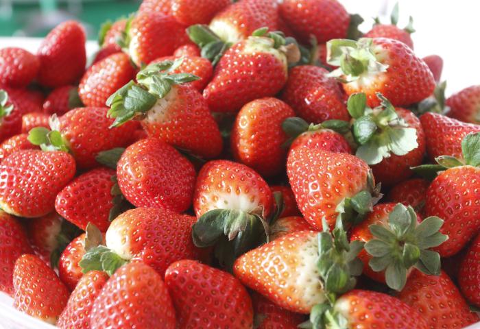 Ein großer Haufen frischer Erdbeeren, rot mit grünen Blättern, in einer Schüssel angeordnet.