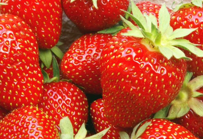 Reife Erdbeeren in verschiedenen Größen, rot mit grünen Blättern, eng beieinander liegend, mit sichtbaren Samen auf der Oberfläche.