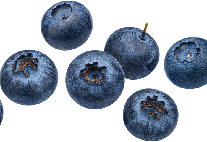 Acht Heidelbeeren in verschiedenen Positionen, rund und dunkelblau, mit sichtbaren Kelch- und Blütenansätzen.