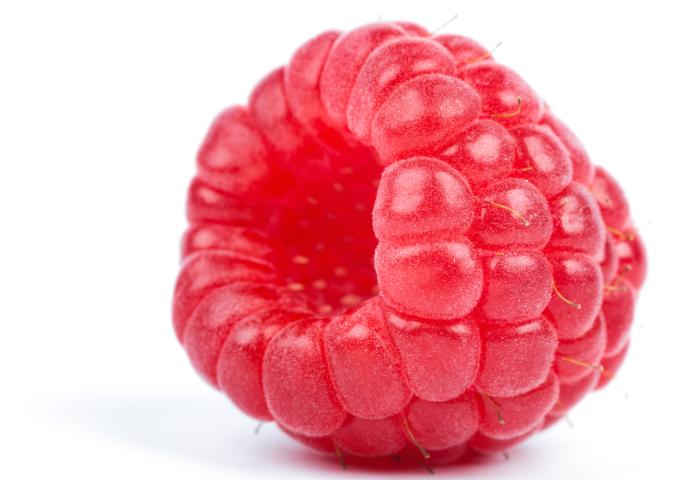 Einzelne Himbeere auf weißem Hintergrund