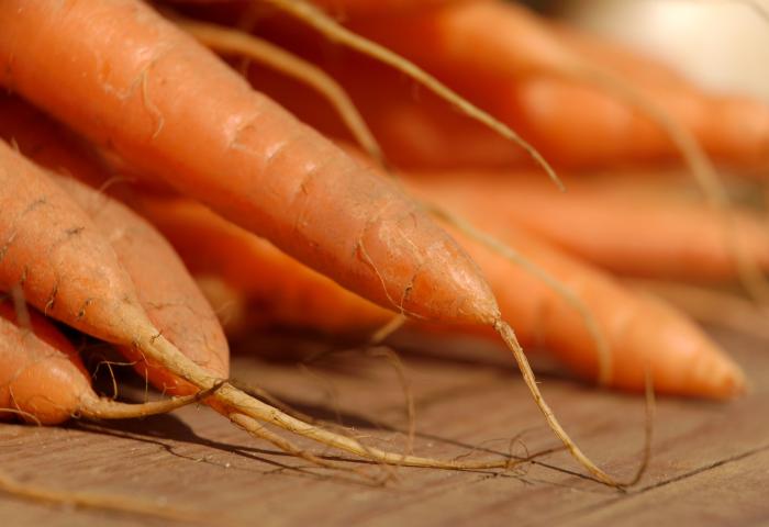 Nahaufnahme von mehreren frischen, orangefarbenen Karotten mit langen Wurzeln auf einer Holzoberfläche.