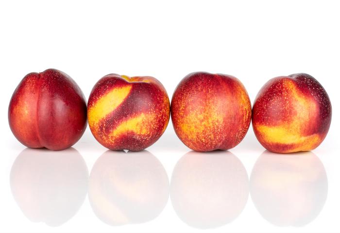 Vier Nektarinen in Reihe, rot mit gelben Streifen und Punkten, glänzende Oberfläche, auf einem reflektierenden Untergrund.