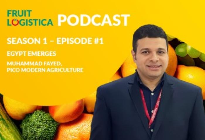 Mann in dunklem Anzug mit rotem Ausweis, vor einem bunten Hintergrund aus Obst. Text: 'FRUIT LOGISTICA PODCAST SEASON 1 – EPISODE #1 EGYPT EMERGES MUHAMMAD FAYED, PICO MODERN AGRICULTURE'.