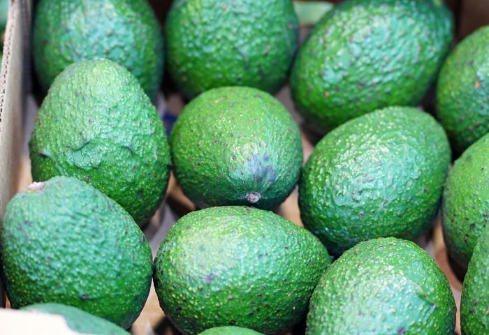 Mehrere grüne Avocados in einer Kiste, mit einer leicht unregelmäßigen Oberfläche und unterschiedlichen Größen.