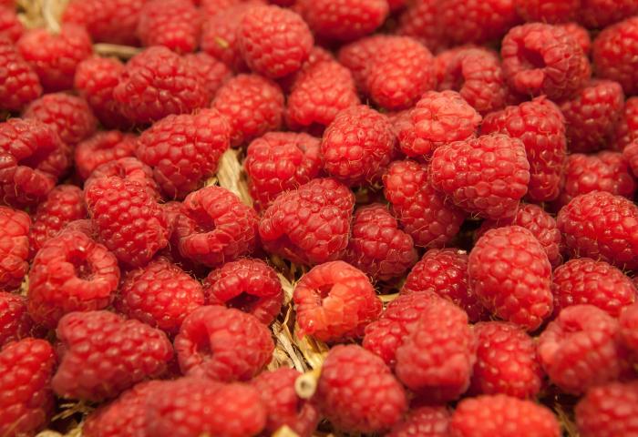 viele Himbeeren