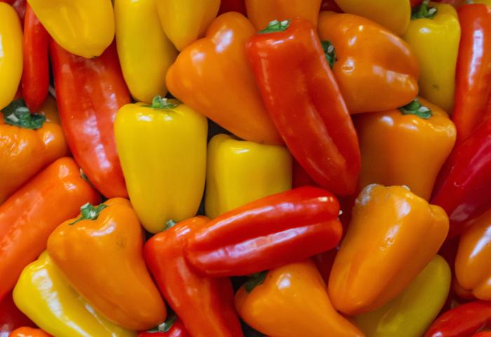 Bunte Paprika in Rot, Orange und Gelb, verschiedene Formen und Größen, eng zusammenliegend.
