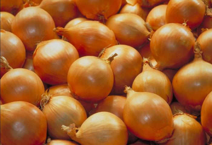 Eine Ansammlung von vielen orangefarbenen Zwiebeln, die dicht beieinander liegen. Die Zwiebeln haben eine runde Form und sind ungeschält.