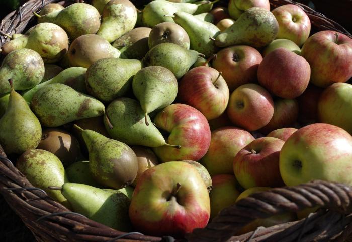 Äpfel und Birnen in einem Korb