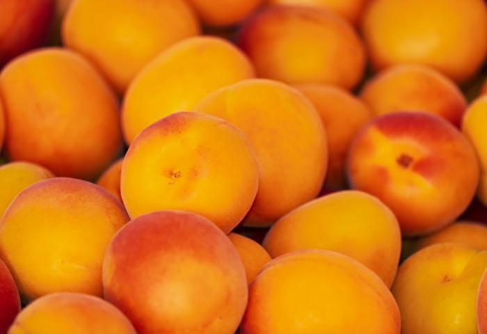 Eine Ansammlung von reifen Aprikosen in verschiedenen Gelb- und Orangetönen, einige mit rötlichen Stellen.