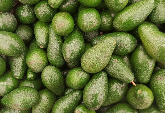 Große Menge reifer Avocados, eng aneinander liegend.