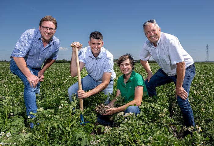 v.l.: Michael Buxbaum (Geschäftsführer der Niederösterreichischen Saatbaugenossenschaft NÖS), Benjamin Einfalt (Billa-Einkäufer), Susanne Kirchmaier (Züchterin bei NÖS) und Johann Regner (Rewe Bereichsleiter Obst und Gemüse)