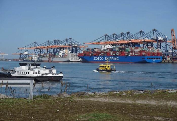 Im Vordergrund ein kleines weißes Schiff mit der Aufschrift 'ANGELIQUE ROSEANNE'. Im Hintergrund mehrere große Containerschiffe, darunter ein blaues Schiff mit der Aufschrift 'COSCO SHIPPING', und Kräne im Hafen von Rotterdam.