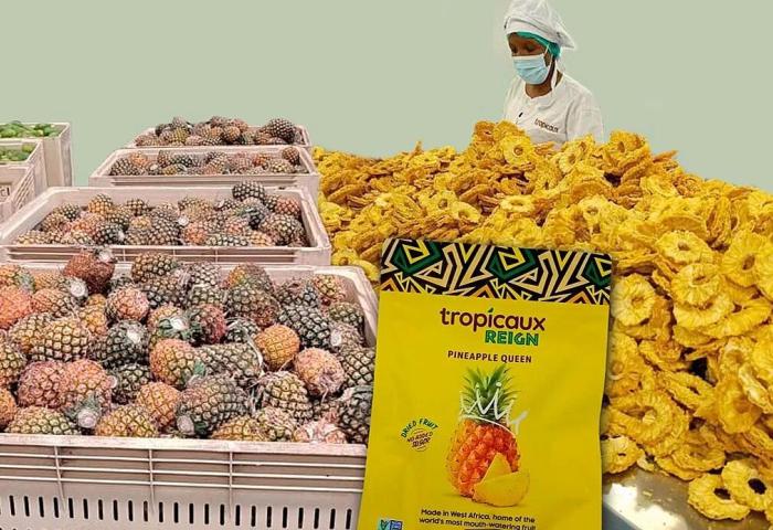 frisch, ganze und getrocknete Ananas in Scheiben