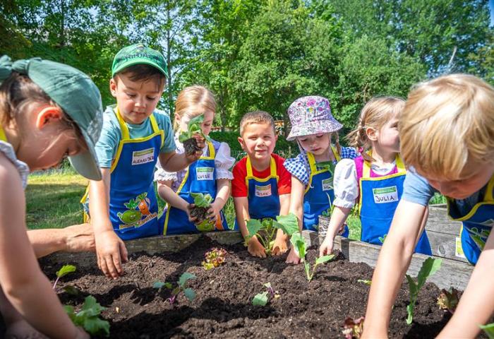 Gruppe von Kindern in blauen Schürzen, die in einem Gemüsebeet mit Erde und Pflanzen arbeiten. Einige Kinder halten kleine Pflanzen in den Händen.