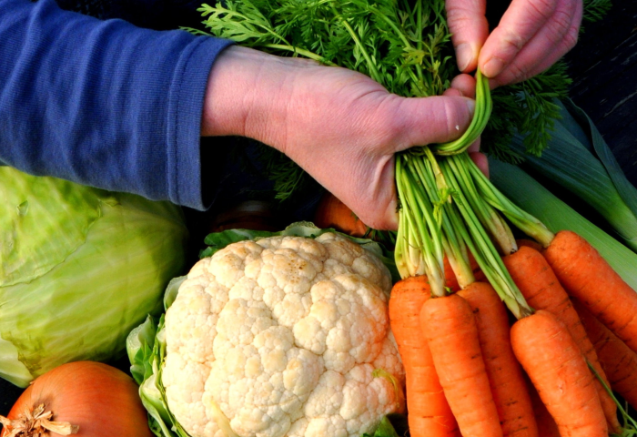 Eine Hand hält einen Bund Karotten. Daneben sind weitere, frische Gemüsesorten sichtbar, darunter Blumenkohl, Lauch, Salat und Zwiebeln.