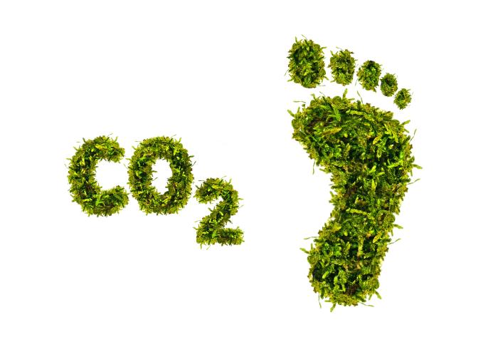 Grüne Buchstaben bilden 'CO2' links, rechts ein Fußabdruck aus Gras. Beide Elemente symbolisieren Umweltthemen.