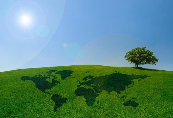 Eine grüne Wiese mit einer Weltkarte, die im Gras sichtbar ist. Im Hintergrund steht ein einzelner Baum unter einem blauen Himmel mit Sonne.
