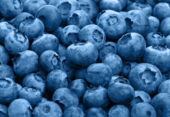 Eine Ansammlung von blauen Heidelbeeren, die eine unregelmäßige Anordnung aufweisen.
