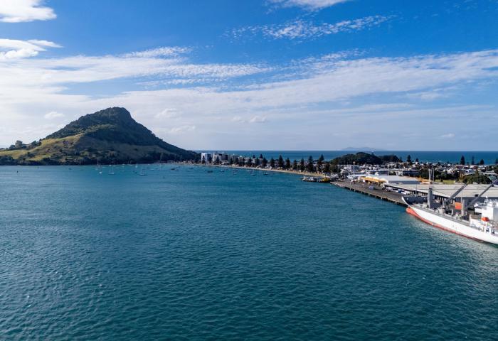 Blick auf einen Hafen mit einem großen Frachtschiff im Vordergrund. Im Hintergrund ist ein Hügel und eine Küstenlinie mit Bäumen und Gebäuden sichtbar.