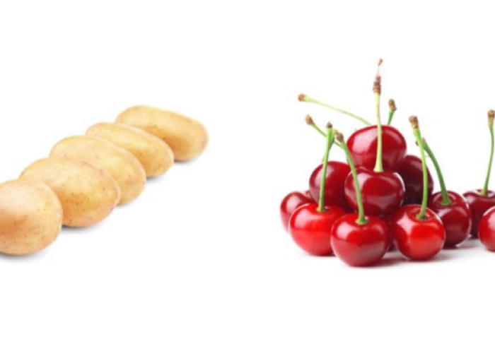 Fünf Kartoffeln in einer Reihe links, rechts ein Haufen roten Kirschen mit grünen Stielen.