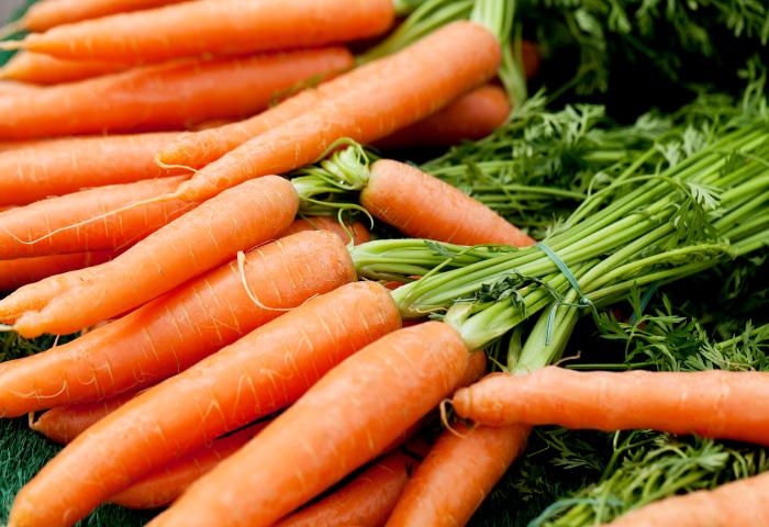 Eine Ansammlung frischer, orangefarbener Karotten mit grünen Blättern, einige sind gebündelt mit einem Gummiband.