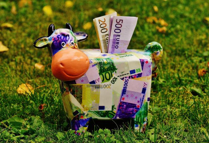 Sparschwein mit Geld