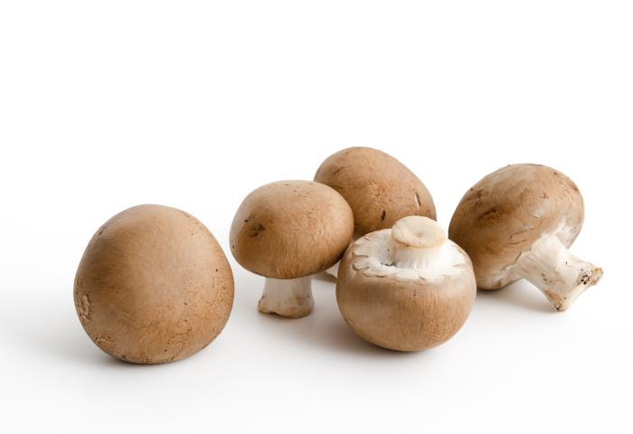 Fünf braune Champignons unterschiedlicher Größe, einige mit sichtbaren Stielen, auf hellem Untergrund.