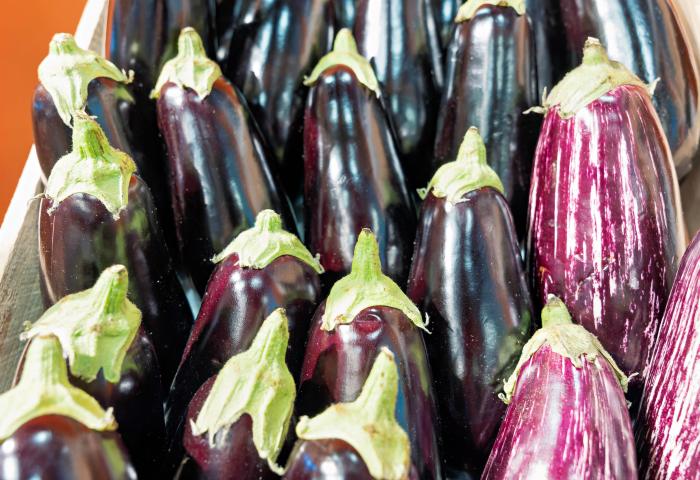 Mehrere dunkelviolette Auberginen mit grünen Stielen und zwei gestreiften lila-weißen Auberginen, dicht nebeneinander angeordnet.
