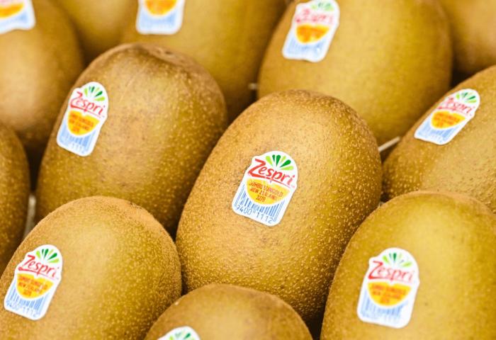 Mehrere braune Kiwis mit Zespri-Etiketten, die auf einem Tisch angeordnet sind. Die Kiwis haben eine runde Form und eine samtige Oberfläche.