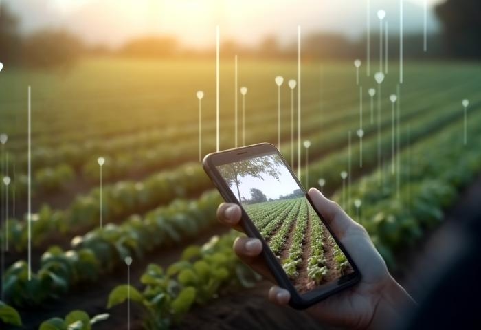 Ein Smartphone wird in Händen gehalten. Im Hintergrund ein Feld mit digitalen arkierungen