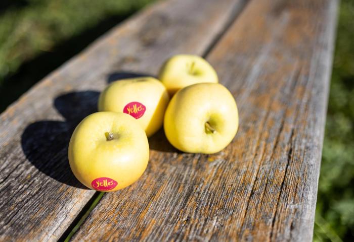 yello-Äpfel auf einem Holzbrett