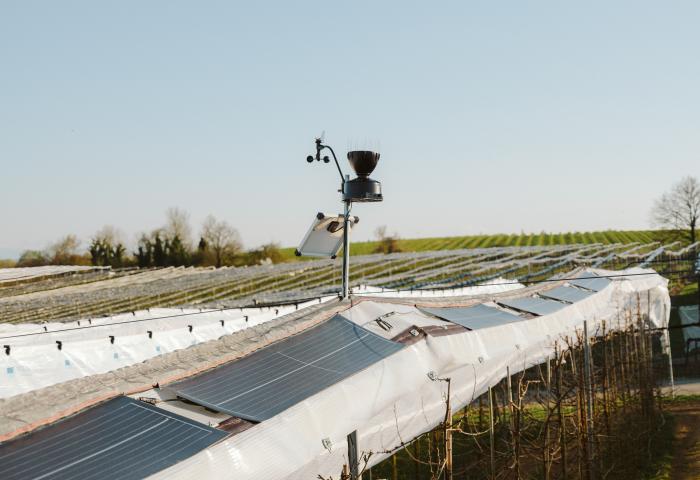 Solarmodule auf einem landwirtschaftlichen Feld mit Wetterstation und Messgeräten auf einem Mast im Vordergrund.