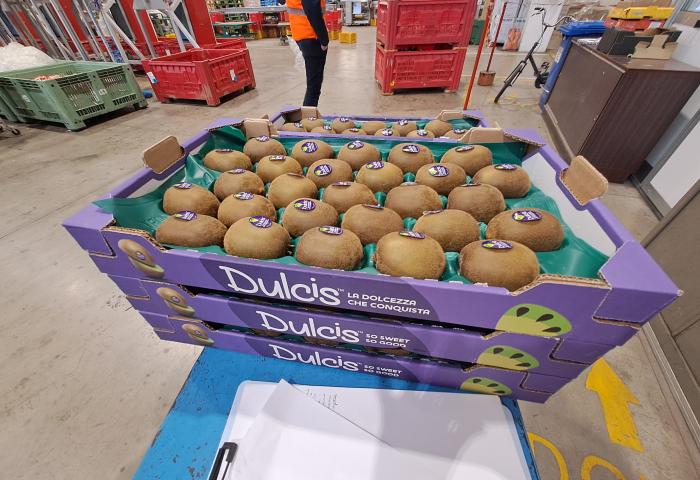 Kiwi Dulcis™ in der Steige