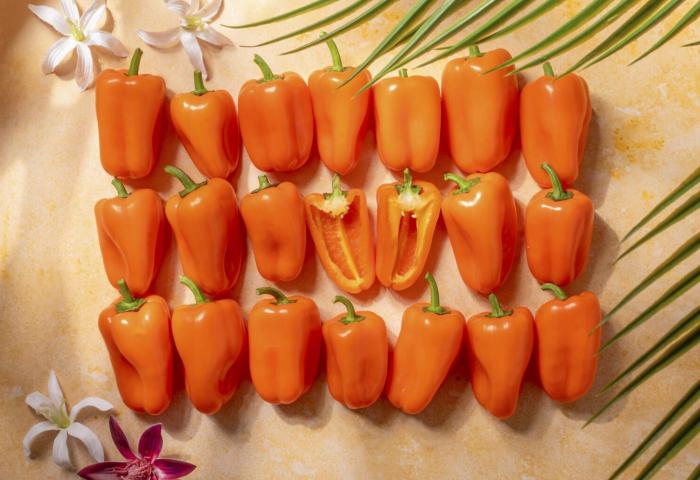 Mehrere orangefarbene Mini-Paprikaschoten, einige halbiert, auf hellem Untergrund mit grünen Gräsern und weißen Blüten.