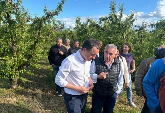 Gruppe von Menschen in einem Obstgarten mit grünen Bäumen unter blauem Himmel