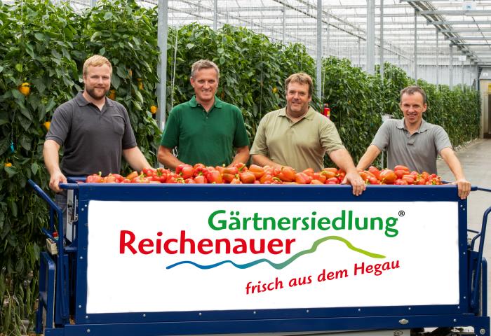 David Wehrle, Mathias Rückert, Clemens Blum und Tobias Jörg stehen in einem Gewächshaus hinter einem Wagen mit roten Paprikas. Auf dem Wagen steht das Schild 'Gärtnersiedlung Reichenauer frisch aus dem Hegau'.