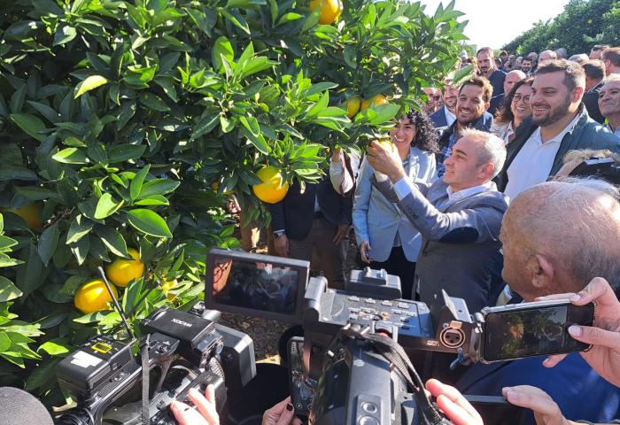 Menschen mit Kameras auf Citrusplantage