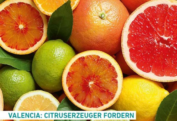 Titel Fruchthandel Magazin Ausgabe 44-45/2025