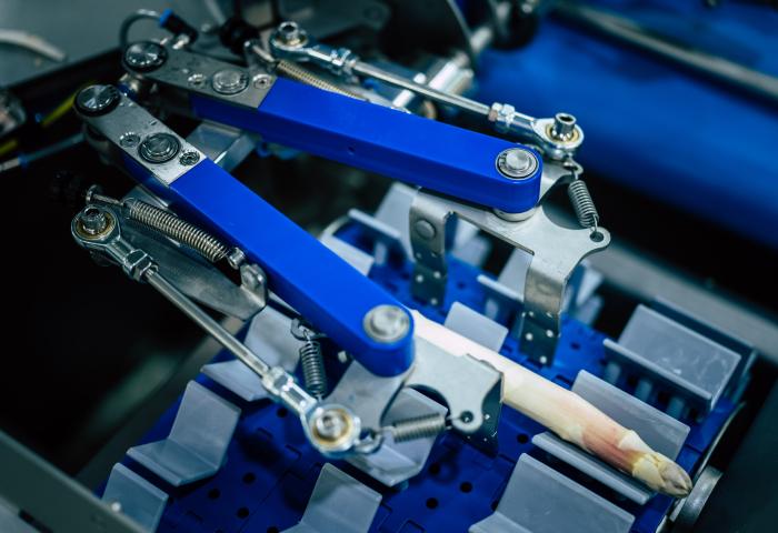 neue Spargelschälmaschine