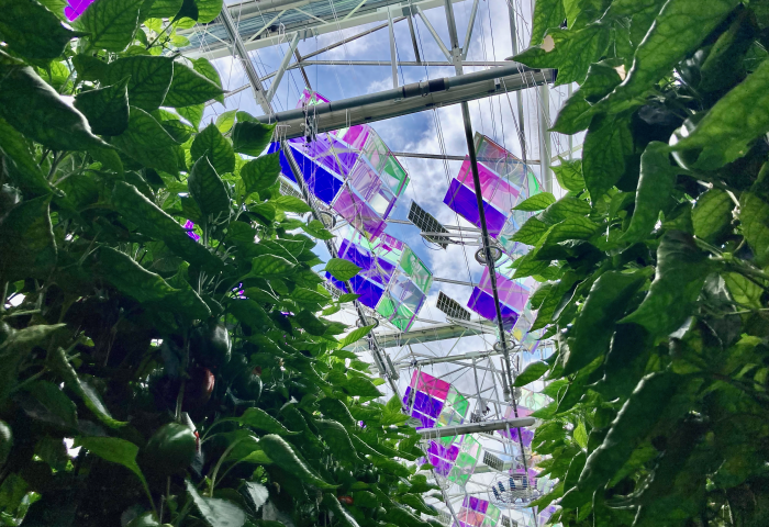 Solarmodule mit Sonnenfiltertechnik