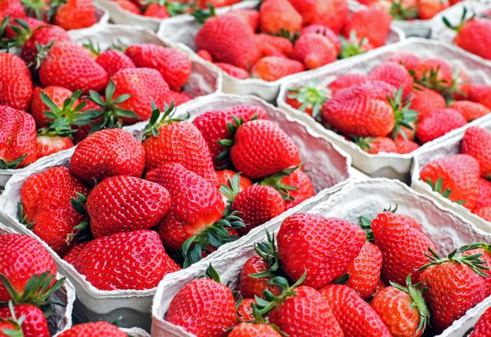 Mehrere Pappschalen mit frischen, roten Erdbeeren mit grünen Kelchblättern.