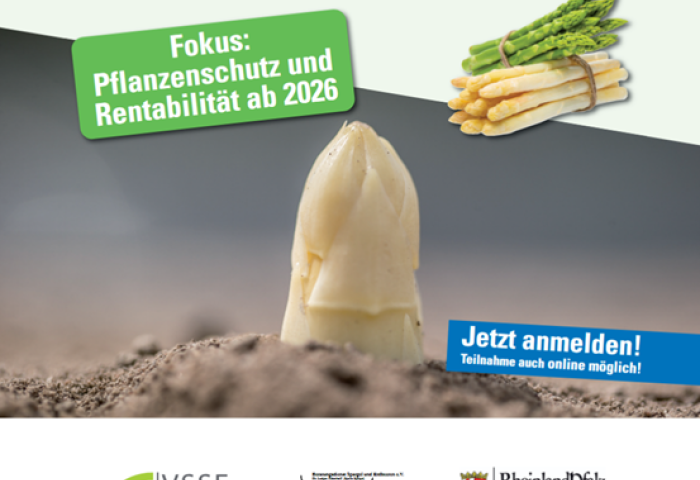Infoblatt Pfälzer Spargeltag 2026