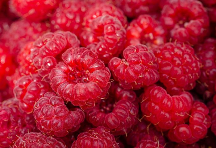 Himbeeren