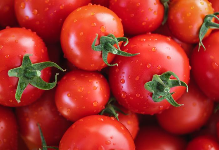 feuchte Tomaten