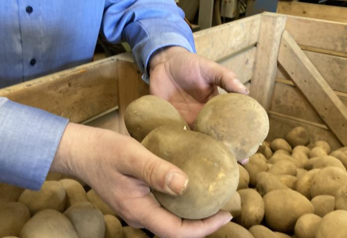 Landvolk fordert Änderungen in der Marktstruktur, um Marktmacht einzuschränken