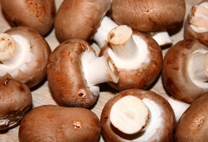Champignons