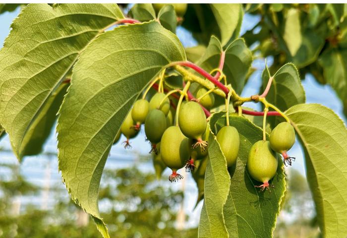 Titel der Ausgabe 48-49/2025