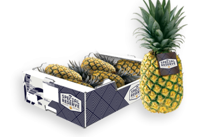 ganze Ananas und im Karton
